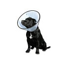 ファンタジーワールド首輪VETカラー大型犬用Lサイズ