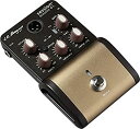 【中古】(非常に良い)L.R.Baggs Session Acoustic D.I. アコースティックギター用プリアンプ