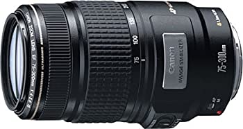 【中古】（非常に良い）Canon EF 75-300mm F4-5.6 IS USM