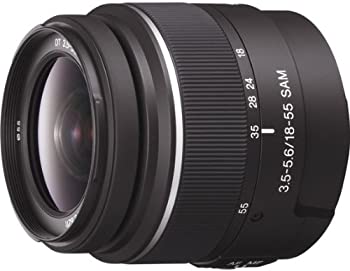 楽天市場】sal55300の通販 楽天市場】sal55300の通販