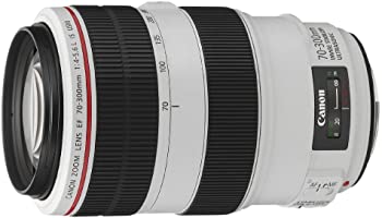 楽天市場】キヤノン ef70300(撮影タイプ望遠)(カメラ用交換 楽天市場】キヤノン ef70300(撮影タイプ望遠)(カメラ用交換
