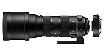 楽天市場】シグマ 150-600 中古の通販 楽天市場】シグマ 150-600 中古の通販