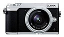 【中古】パナソニック ミラーレス一眼カメラ ルミックス GX7MK2 単焦点ライカDGレンズキット シルバー DMC-GX7MK2LS(2)