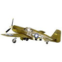 【中古】(非常に良い)1/48 F-6B TAC RECCE MUSTANG