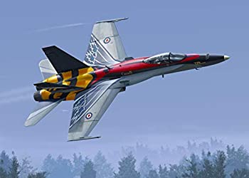【中古】（非常に良い）キネティック 1/48 カナダ空軍 CF-188A 「20年間のサービス」 1982年-2002年 プラモデル KNE48079