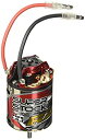 【中古】(未使用品)タミヤ OPパーツ OP.697 スーパーストック RZ モーター 53697