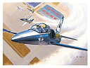 【中古】トランペッター 1/48 チェコスロバキア軍 L-39C アルバトロス プラモデル 05804