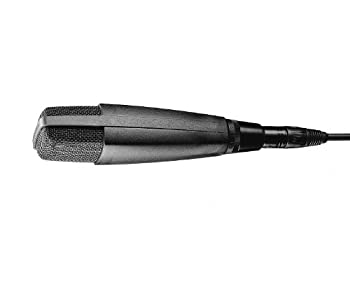 yÁz(gpi)SENNHEISER MD421-II