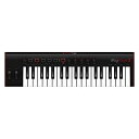 【中古】(非常に良い)IK Multimedia アイケーマルチメディア/iRig KEYS 2 MIDIキーボードコントローラー(2)