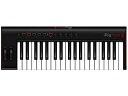 【中古】(非常に良い)IK Multimedia アイケーマルチメディア/iRig KEYS 2 PRO MIDIキーボードコントローラー(2)