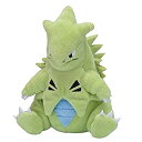 【中古】(非常に良い)ポケモンセンターオリジナル ぬいぐるみ Pokemon fit バンギラス