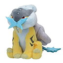 【中古】(非常に良い)ポケモンセンターオリジナル ぬいぐるみ Pokemon fit ライコウ