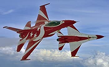 【中古】ハセガワ 1/48 F-16C ファイティングファルコン ブラックナイツ