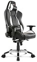 【中古】(非常に良い)AKRacing オフィスチェア ゲーミングチェア Premium 低座面タイプ Silver シルバー