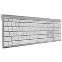 【中古】(非常に良い)MacallyR Mac用 静音性に優れたシザースイッチ(パンタグラフ)110キー採用 スリム英語USBアルミ 有線キーボード iMac ...