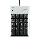 【中古】(非常に良い)サンワサプライ USB2.0ハブ付テンキー シルバー NT-16UH2SVN