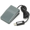 【中古】(非常に良い)ルートアール メカニカルスイッチ搭載 USBフットペダルスイッチ 1ペダル グレー RI-FP1MG