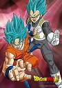 【中古】100ピース ジグソーパズル ドラゴンボール超 孫悟空&ベジータ 【超サイヤ人ゴッドSS】 ラージピース(18.2x25.7cm)