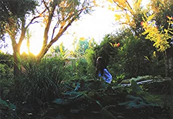 【中古】（非常に良い）KOCHAB [DVD]