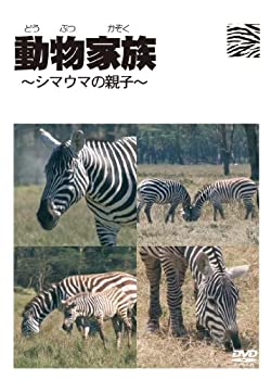 【中古】（非常に良い）動物家族~アフリカ編~シマウマ [DVD]