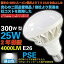 šۡڶä4000롼۶ȳȥåץ饹 300W25W4000lm뤵 LED ŵ塡PAR38E265000Kʥեåե꡼˥Υ