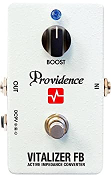 yÁzProvidence VFB-1 VITALIZER FB GtFN^[