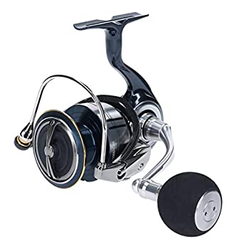 【中古】ダイワ(DAIWA) リール 19 セルテート LT5000D-CXH