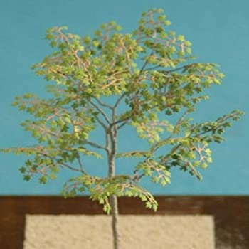 【中古】和巧 ジオラマアクセサリーシリーズ 1/35 メープル