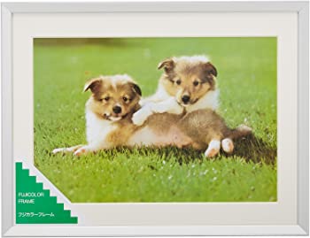 【中古】(非常に良い)FUJICOLOR 額縁 A10N ワイド4切 アルミ シルバー 300462