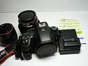 【中古】SONY ミラーレス一眼 α58 ダブルズームレンズキット DT 18-55mm F3.5-5.6 SAM II+DT 55-200mm F4-5.6 ...