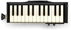 【中古】HAMMOND ハモンド PRO-24B 鍵盤ハーモニカ エレアコ バスモデル