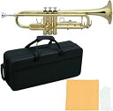 【中古】(非常に良い)MAXTONE 管楽器セット トランペット B管 ゴールドラッカー仕上げ TT-104L セミハードケース付