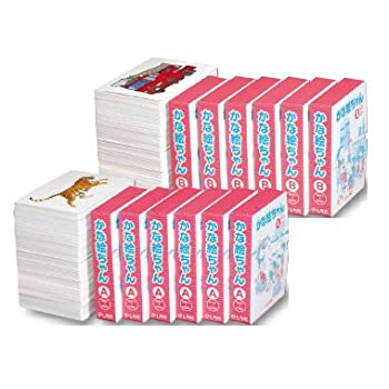 【中古】(非常に良い)【七田式教材:しちだ右脳教育】【対象年齢 0歳〜5歳】かな絵ちゃん日本語ABセット