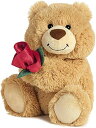【中古】(非常に良い)Aurora World You Make Me Happy Bear Plush, Small by AURORA