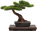 【中古】(非常に良い)プラッツ 1/12 ザ・盆栽 弐 プラモデル BON-02