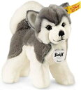 【中古】(非常に良い)Steiff シュタイフ キッズ ハスキーのバーニー 17 104985