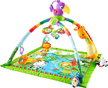 【中古】フィッシャープライス(fisher price) レインフォレスト・デラックスジムII 【0カ月~】【知育玩具】【布おもちゃ】DFP08