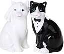 šWedding Cats Magnetic Ceramic Salt and Pepper Shaker Set