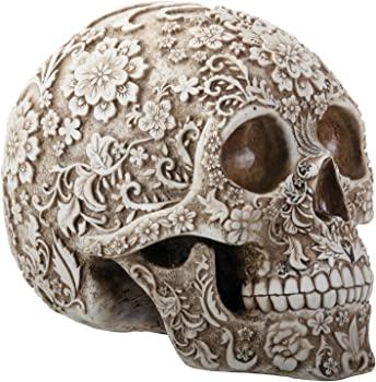 yÁz8 Inch White and Light Brown Colored Floral Human Skull Figurine by Summit [sAi]