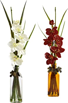 Nearly Natural Phalaenopsis Orchid with Colored Jar, Set of 2 by Nearly Natural 