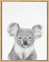 【中古】Kate and Laurel???Sylvie Koala BearブラックandホワイトPortrait Framedキャンバス壁アートby Sim...