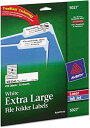 【中古】(非常に良い)Extra-Large 1/3-Cut Filing Labels, 15/16 x 3-7/16, White, 450/Pack (並...