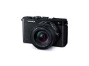 【中古】(非常に良い)パナソニック(Panasonic) フルサイズ ミラーレス一眼カメラ ルミックス DC-S9N-K 広角ズームレンズキット ジェットブラック