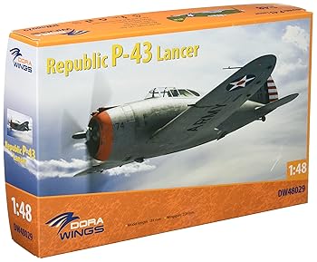 š(ɤ)ɥ饦󥰥 1/48 ꥫΦҶ ѥ֥å P-43 󥵡 ץǥ DWS48029