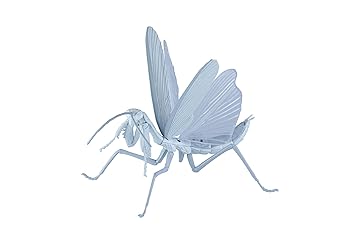 【中古】自由研究シリーズ No.235 はたらく細胞編 オオカマキリ 白血球(好中球)ver. プラモデル