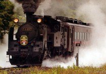 【中古】(非常に良い)マイクロエース Nゲージ C11-207 SL函館大沼号 A7310 鉄道模型 蒸気機関車