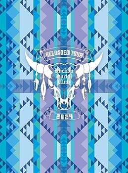 【中古】(非常に良い)RELOADED TOUR 2024 SUMMER OF LOVE [DVD]