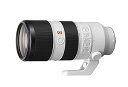 【中古】(非常に良い)Sony OSSレンズ(認定Refurbished )