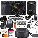 【中古】Sony Alpha a6600 ミラーレスデジタルカメラ 18-135mm レンズ + 広角 & 望遠変換レンズ 64GB、フレックス三脚、クローズア...