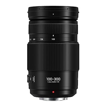 【中古】(非常に良い)Panasonic LUMIX G II Varioレンズ、100-300mm、ミラーレスマイクロフォーサーズ、Power O.I.S、H-FSA100300 (USAブラック) 【中古】(非常に良い)Panasonic LUMIX G II Varioレンズ、100-300mm、ミラーレスマイクロフォーサーズ、Power O.I.S、H-FSA100300 (USAブラック)